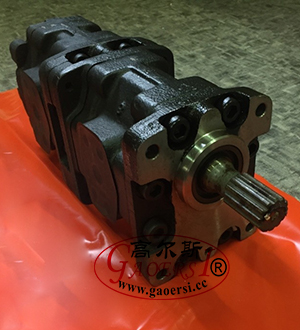 Double gear pump,مضخة تروس مزدوجة 